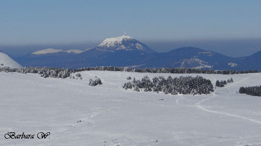 Auvergne - Puy-de-Dôme - Col de la Croix Morand