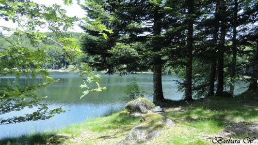 Auvergne - Lacs d`Auvergne - Lac de Gayme - Barbara Photos