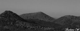 Puy de Côme - Chaîne des Puys - Puy-de-Dôme - Auvergne - Barbara Photos